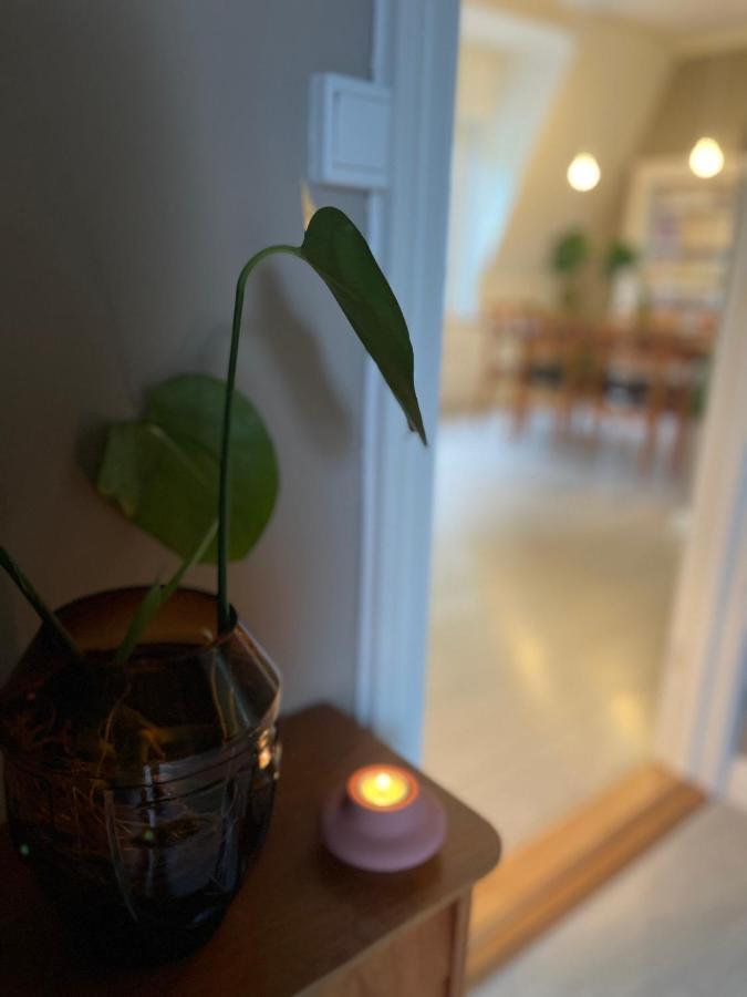 Charming Apartment In Alesund Center With Free Parking Екстер'єр фото